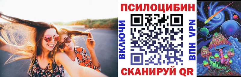 Галлюциногенные грибы прущие грибы  Багратионовск 